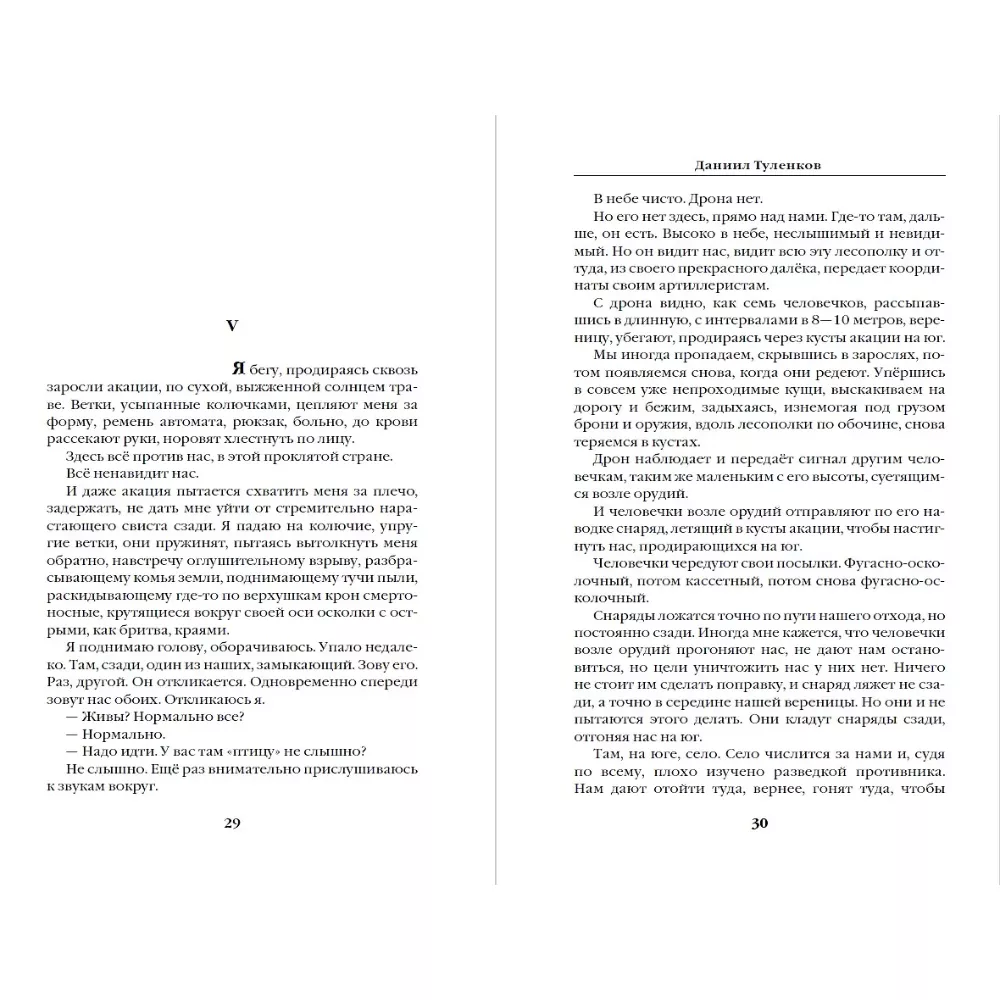 Шторм Z. У вас нет других нас. Даниил Туленков. 18+. Книга