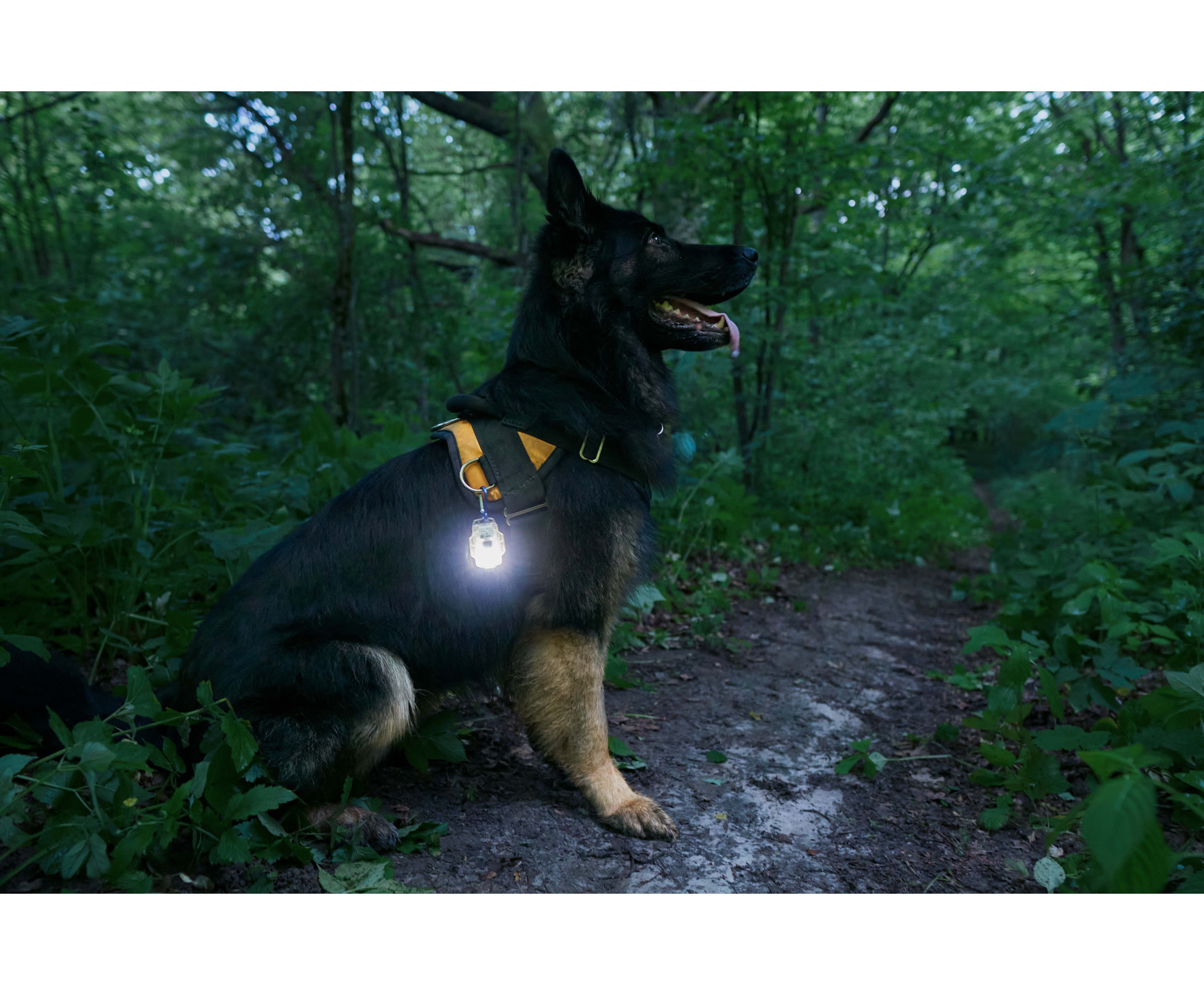 Маяк Crystal Pro IR Grey мультифонарь Armytek