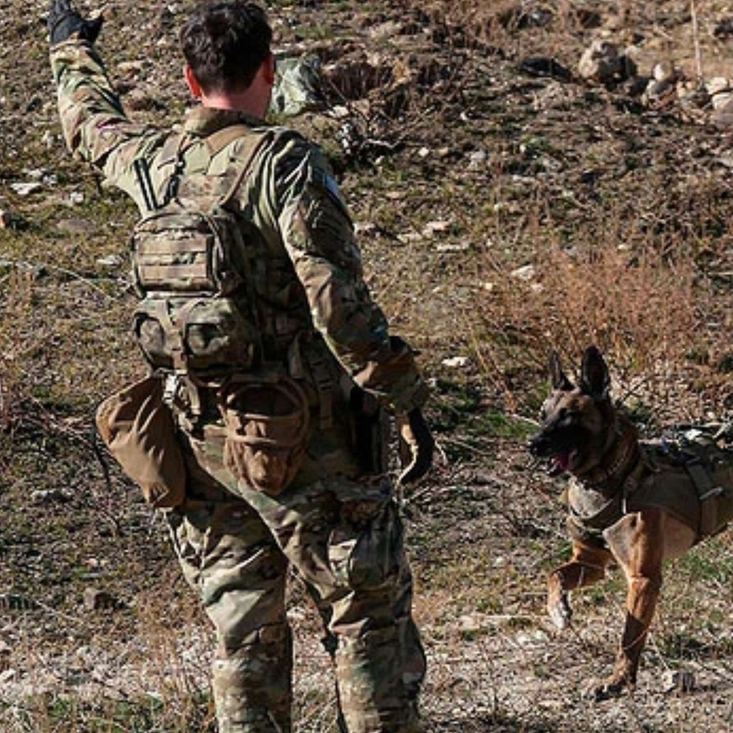 Velocity Systems style Panel Type 1 задняя панель AC-BP01 Академия Снаряжения