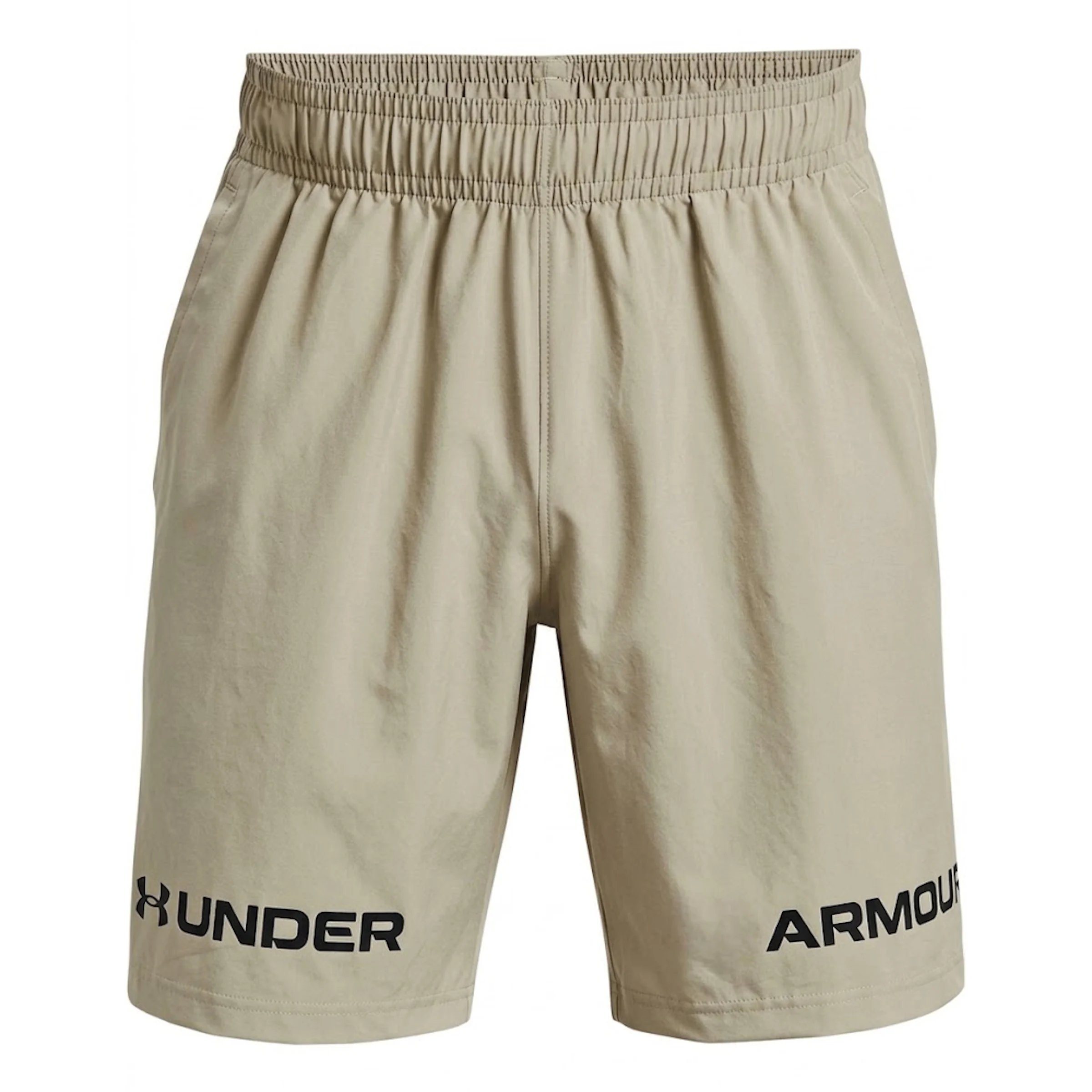 Шорты Woven Graphic Short Under Armour